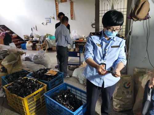 浙江發布打擊侵權假冒商品典型案例，化妝品批發領域成重點